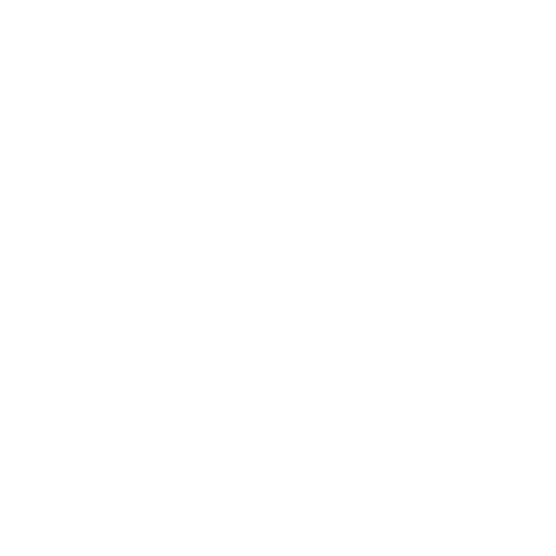 File Security Icon
