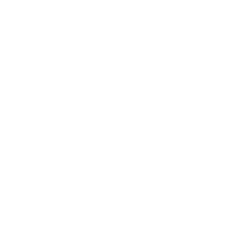 Shield Icon