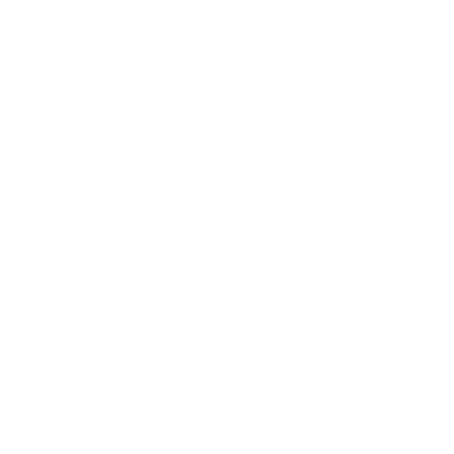 User Security Icon